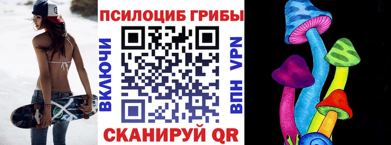 где найти наркотики  Заречный  Псилоцибиновые грибы Cubensis 