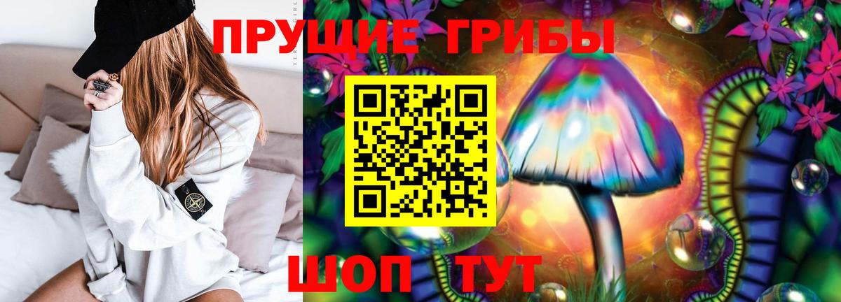 Галлюциногенные грибы MAGIC MUSHROOMS  Псилоцибиновые грибы Magic Shrooms  Вход с VPN  Заречный 