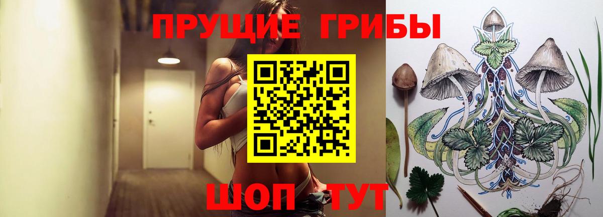 Псилоцибиновые грибы Psilocybine cubensis Заречный