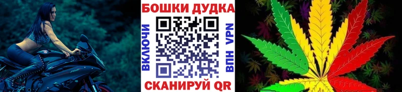 купить закладку  Заречный  Бошки Шишки сатива 